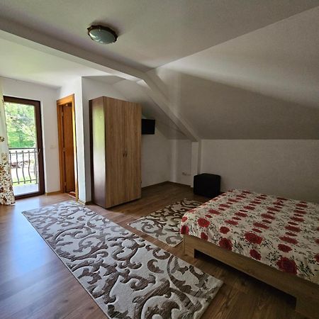 Casa Alba Villa Borşa Екстериор снимка