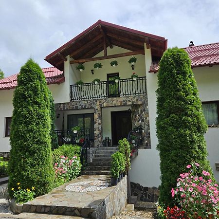 Casa Alba Villa Borşa Екстериор снимка