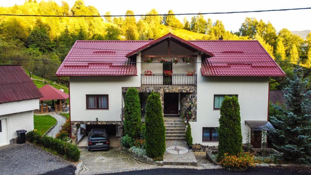 Casa Alba Villa Borşa Екстериор снимка