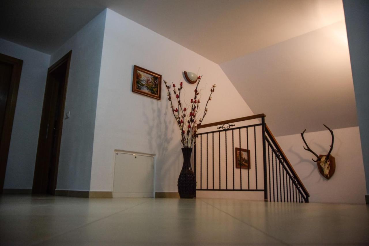 Casa Alba Villa Borşa Екстериор снимка
