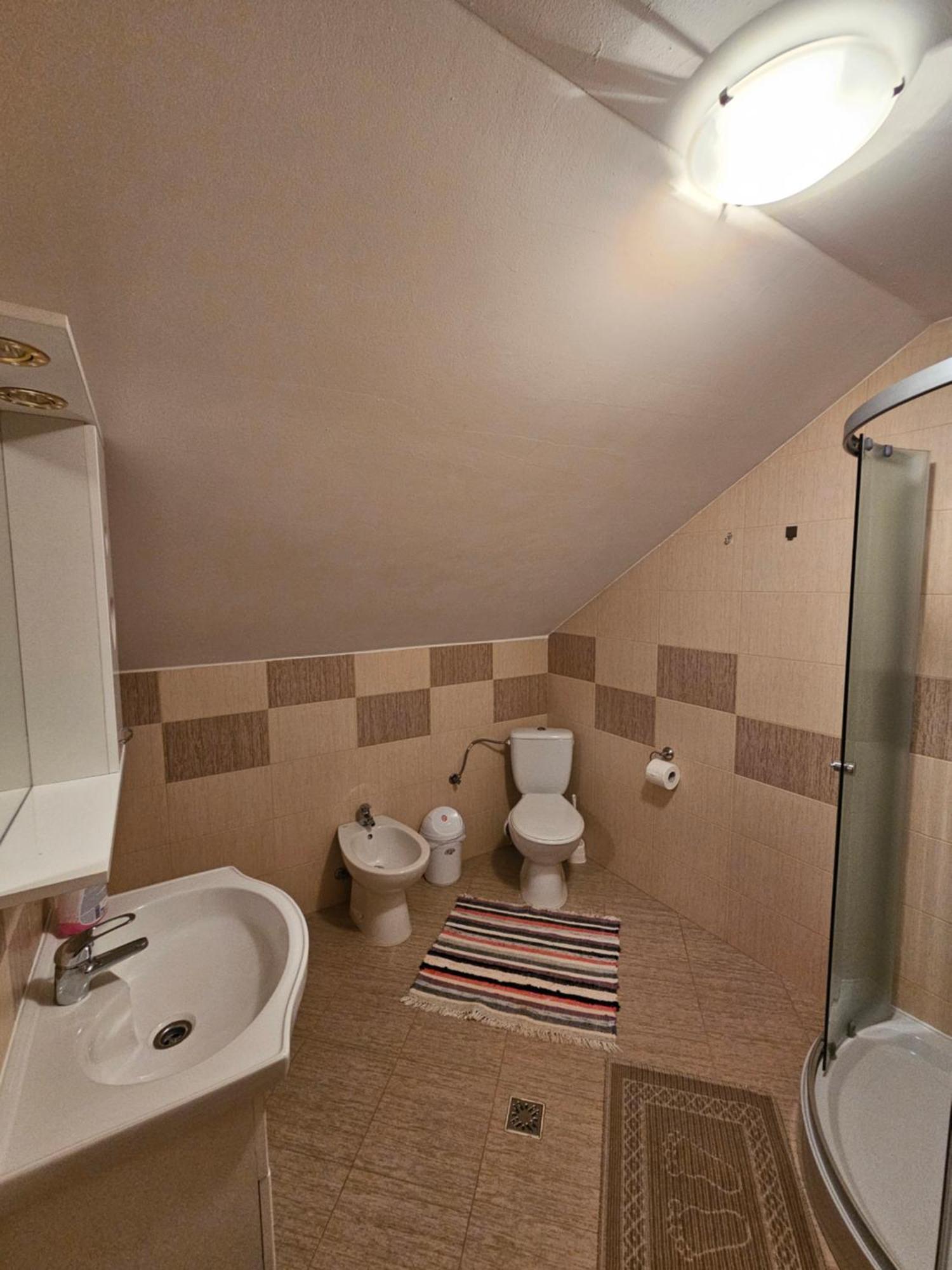 Casa Alba Villa Borşa Екстериор снимка