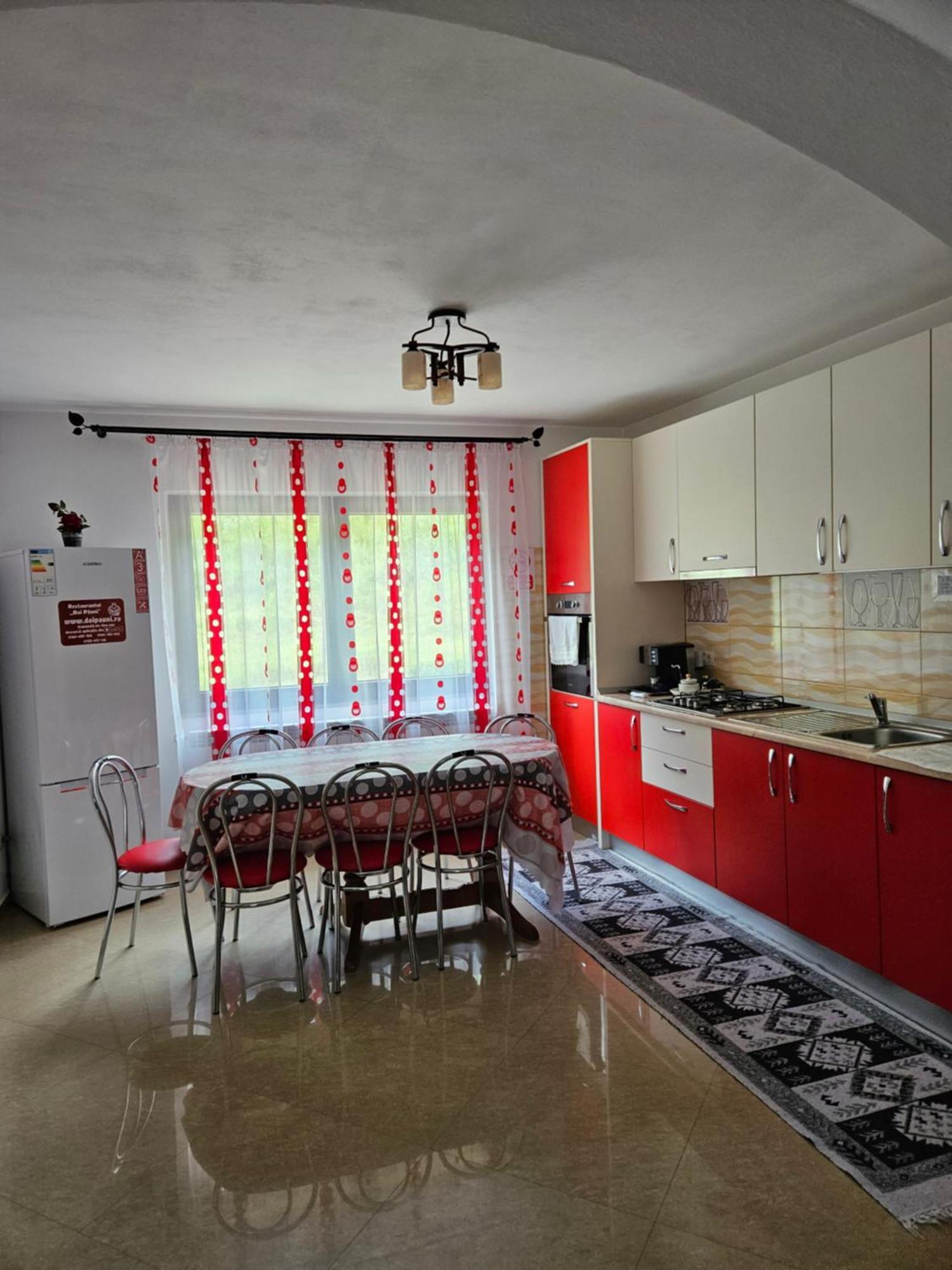 Casa Alba Villa Borşa Екстериор снимка
