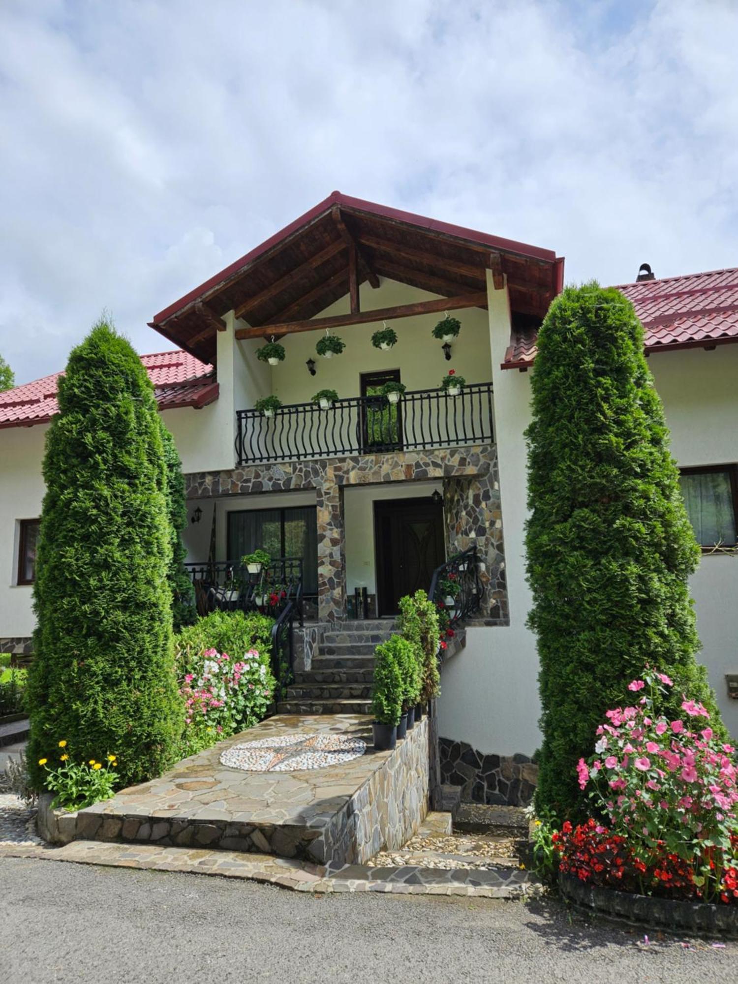 Casa Alba Villa Borşa Екстериор снимка