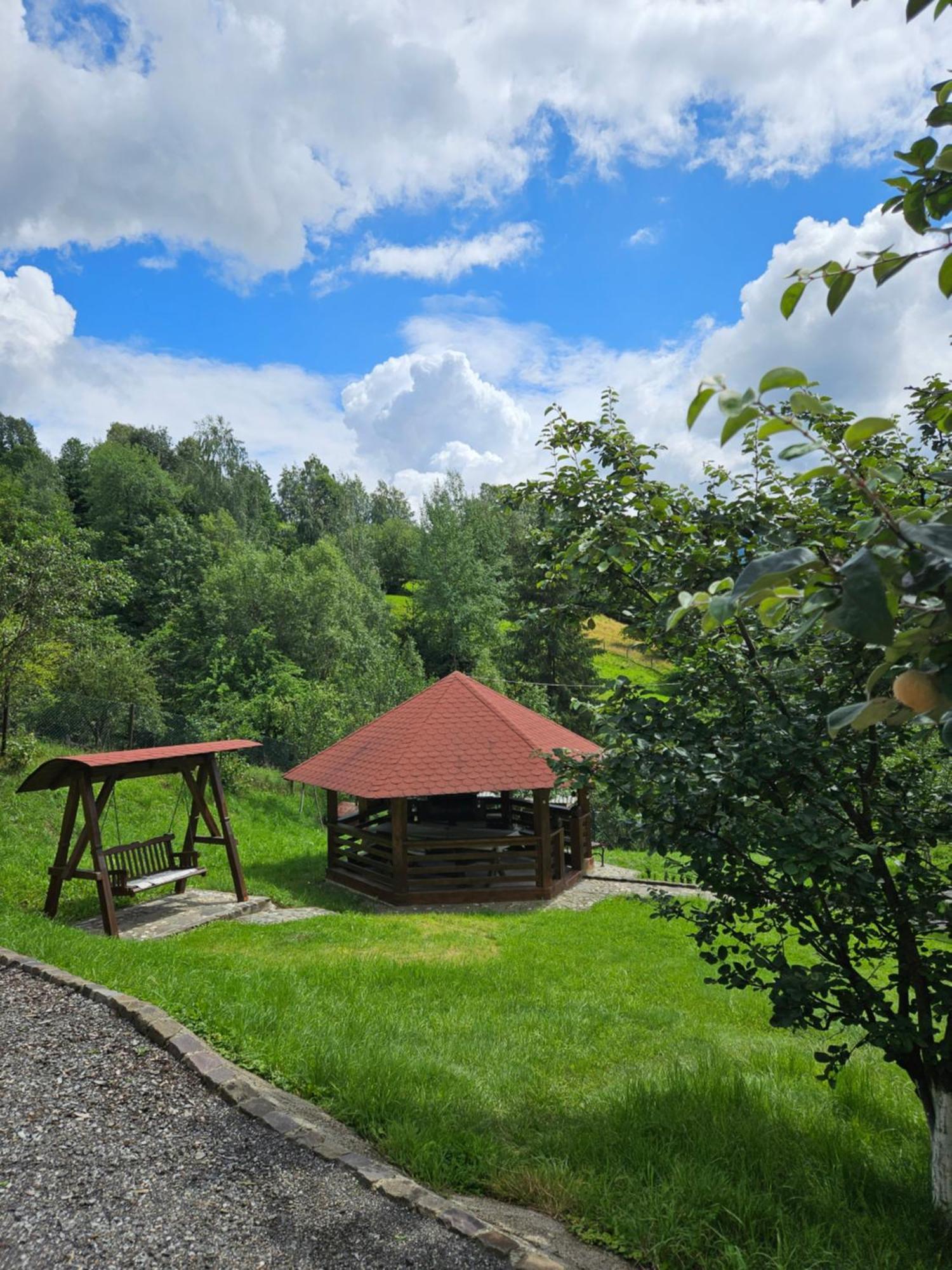 Casa Alba Villa Borşa Екстериор снимка